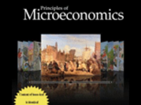 30-minute Microeconomics HW Help