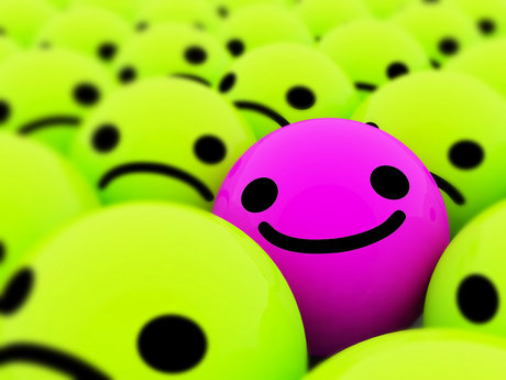 On Line Insurance Advisor