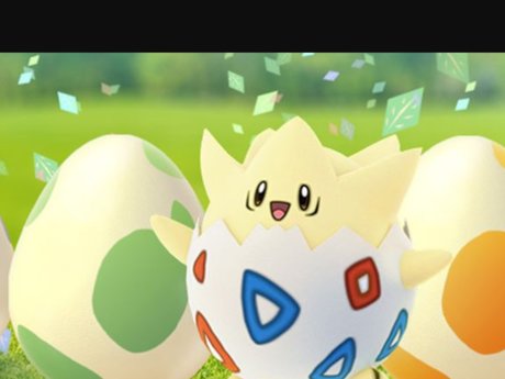 Pokémon Go hunting buddy 