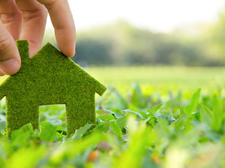 Ecological lifestyle tips