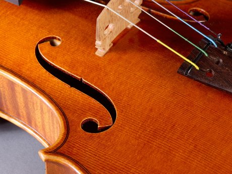 Personal Violinist