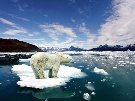 30 Minutes Climate Change 101
