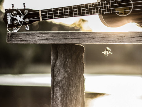 30 Minute Ukulele Lesson 
