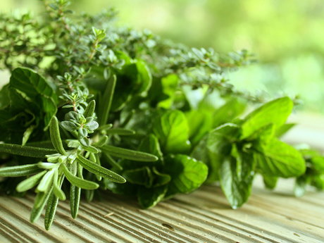 15 Min - Herbal Health Consultation
