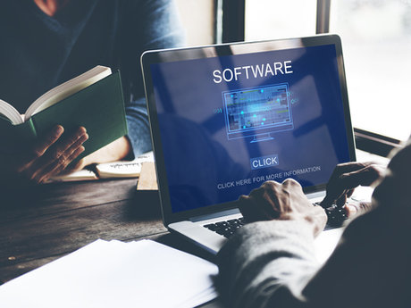Software development consulting