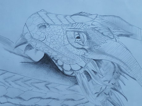 Painting and drawings 