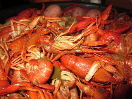 Teach you how to make Cajun Food