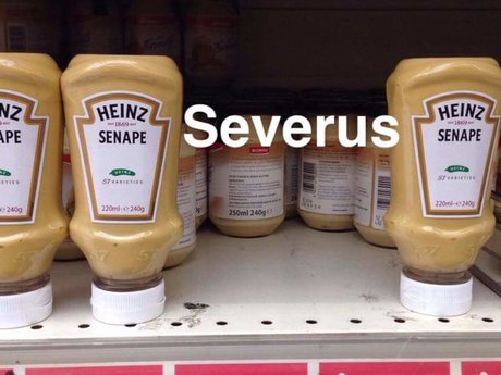 Funny/corny jokes daily for a laugh