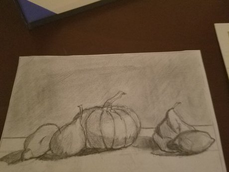 Illustrations 
