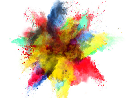 Graphic Designer