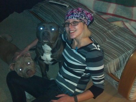 Doggy darecare