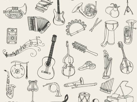 Musical Instrument Lessons 