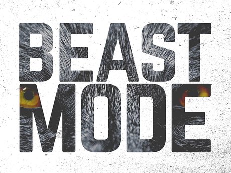 Beast Mode Fitness 