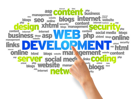 Website Design/Development