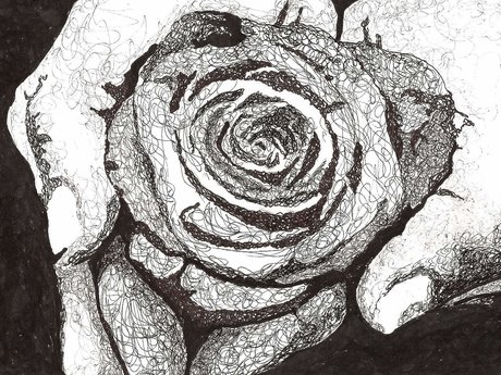 Artist 