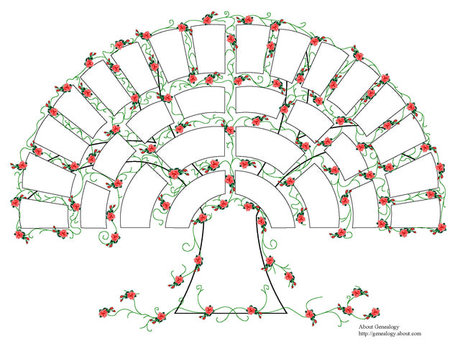 Genealogy
