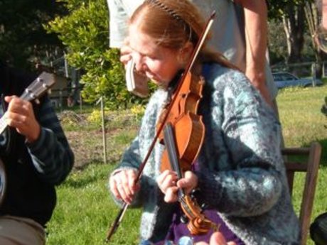 Half hour fiddle lesson