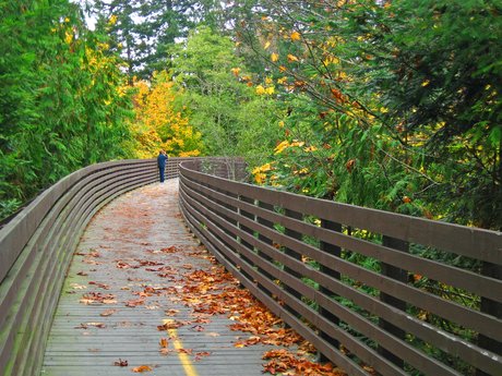 Walk and Talk (coaching)