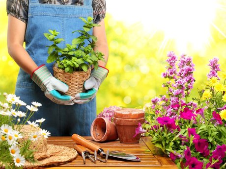 General yardwork/Light maintenance