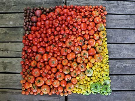 Gardening Services