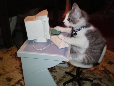 Computer Services