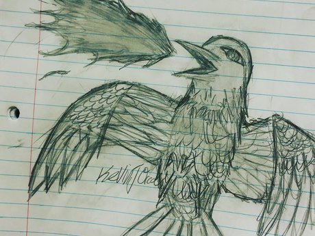 Custom Sketch for you ! 