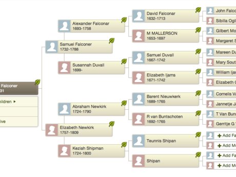 Ancestry Research: Up to 5 hours