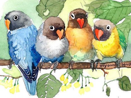 Bird delivery service