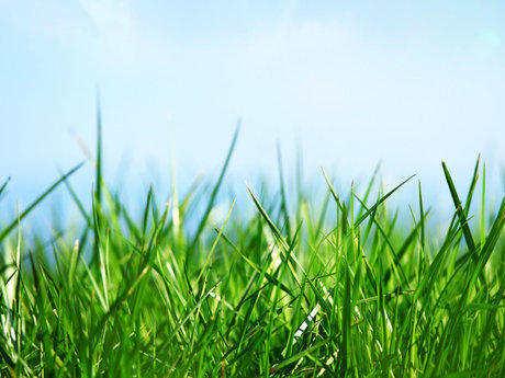 Teenage lawn work