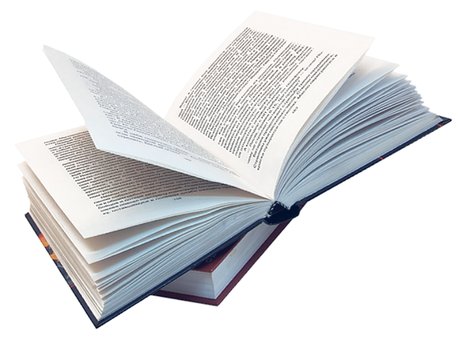 Document Editing/Grammar Check