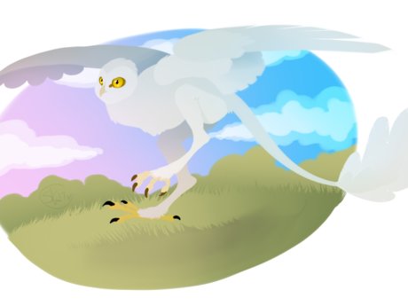 Custom Digital Art and Design