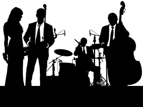 Write a musician / band biog