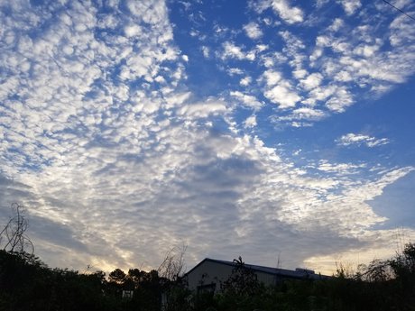 A Week of Good Mornings
