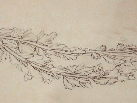 Tattoo Design