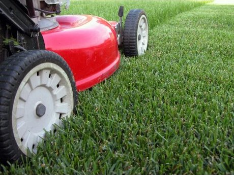 Lawn mow - medium yard