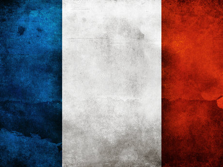 Beginners French tutoring