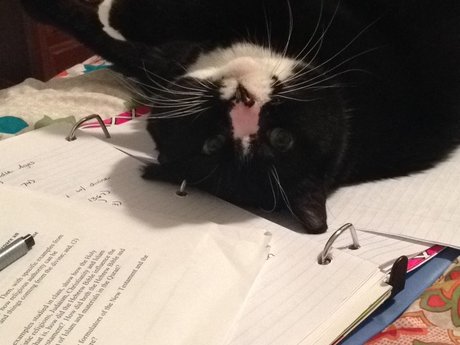 Proofreading