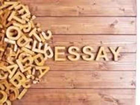 Essay help, for all needs. 