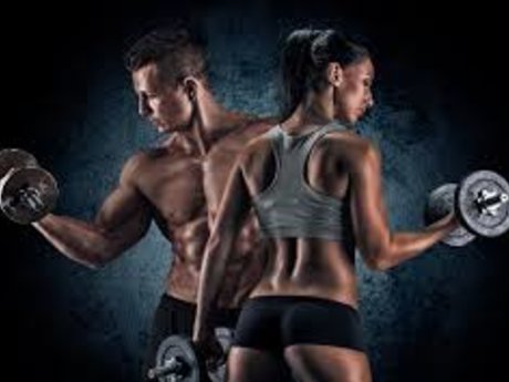 Beginner Barbell Workout  Buddy