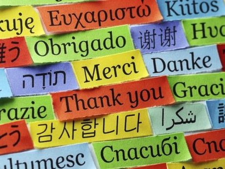 English to Nepali Trabslation