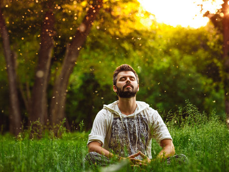 Somatic Consultation