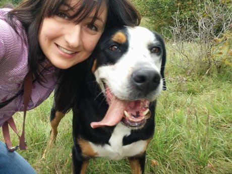 Dog walking / Pet sitting