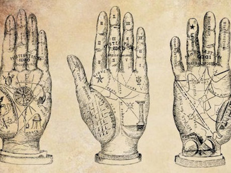 Palm Reading 