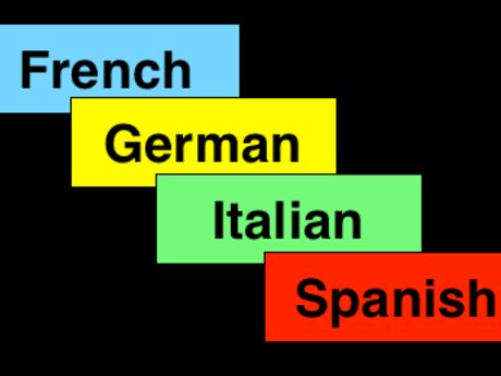 Language Lesson