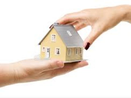 House/Pet/Plant Sitting or Cleaning