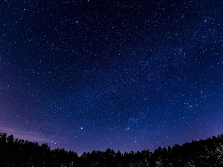 Dream Interpretation