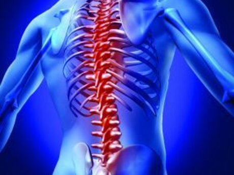 60 min spinal therapy-Eldoa Method