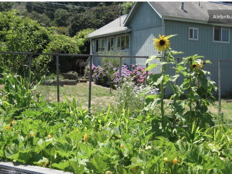 Gardening, landscaping, labor