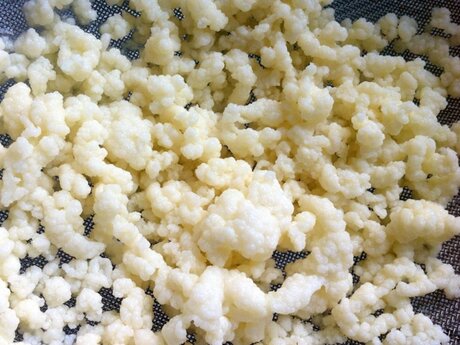 Living Fermentation Cultures 