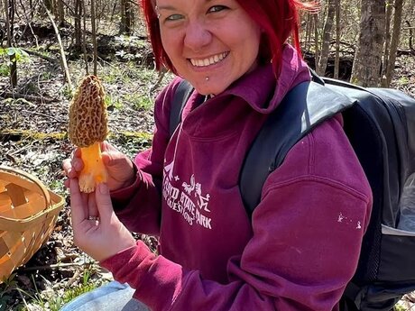 Mushroom Identification